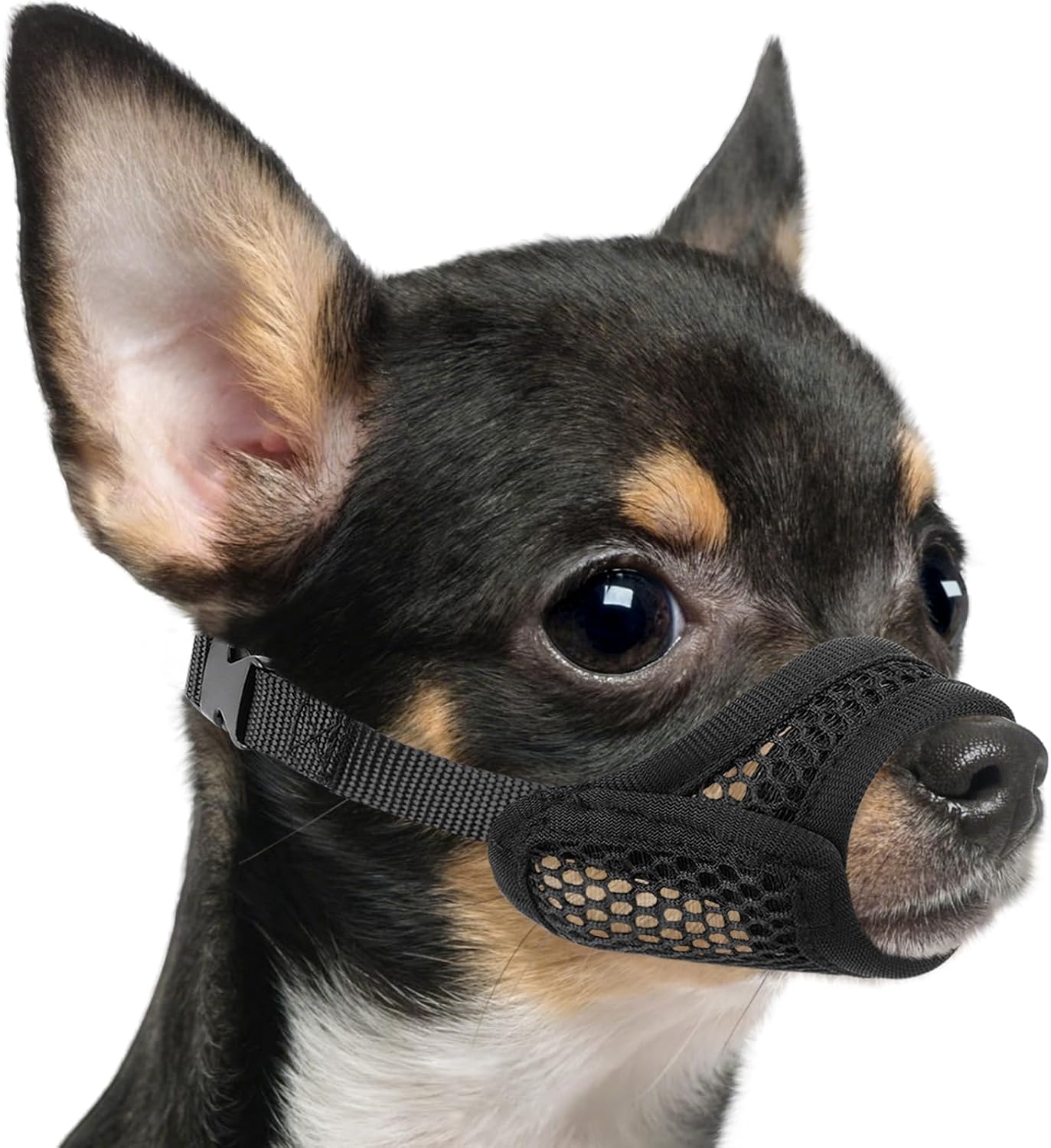 Mayerzon mesh dog muzzle for short snout dogs front view