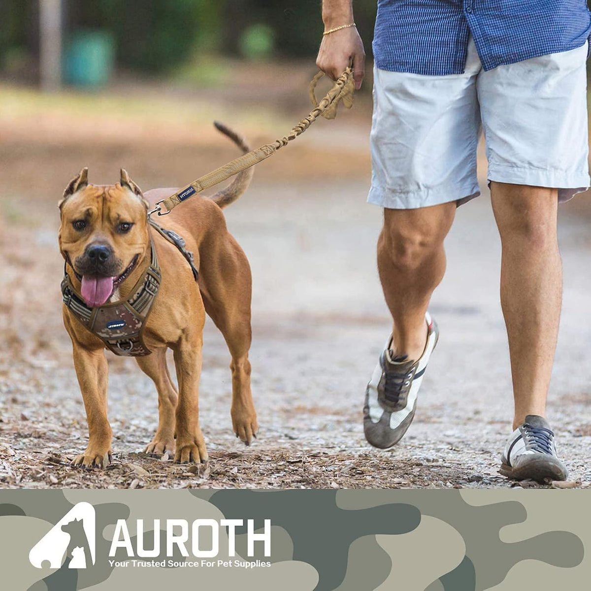 Auroth training dog leash in use during outdoor walk