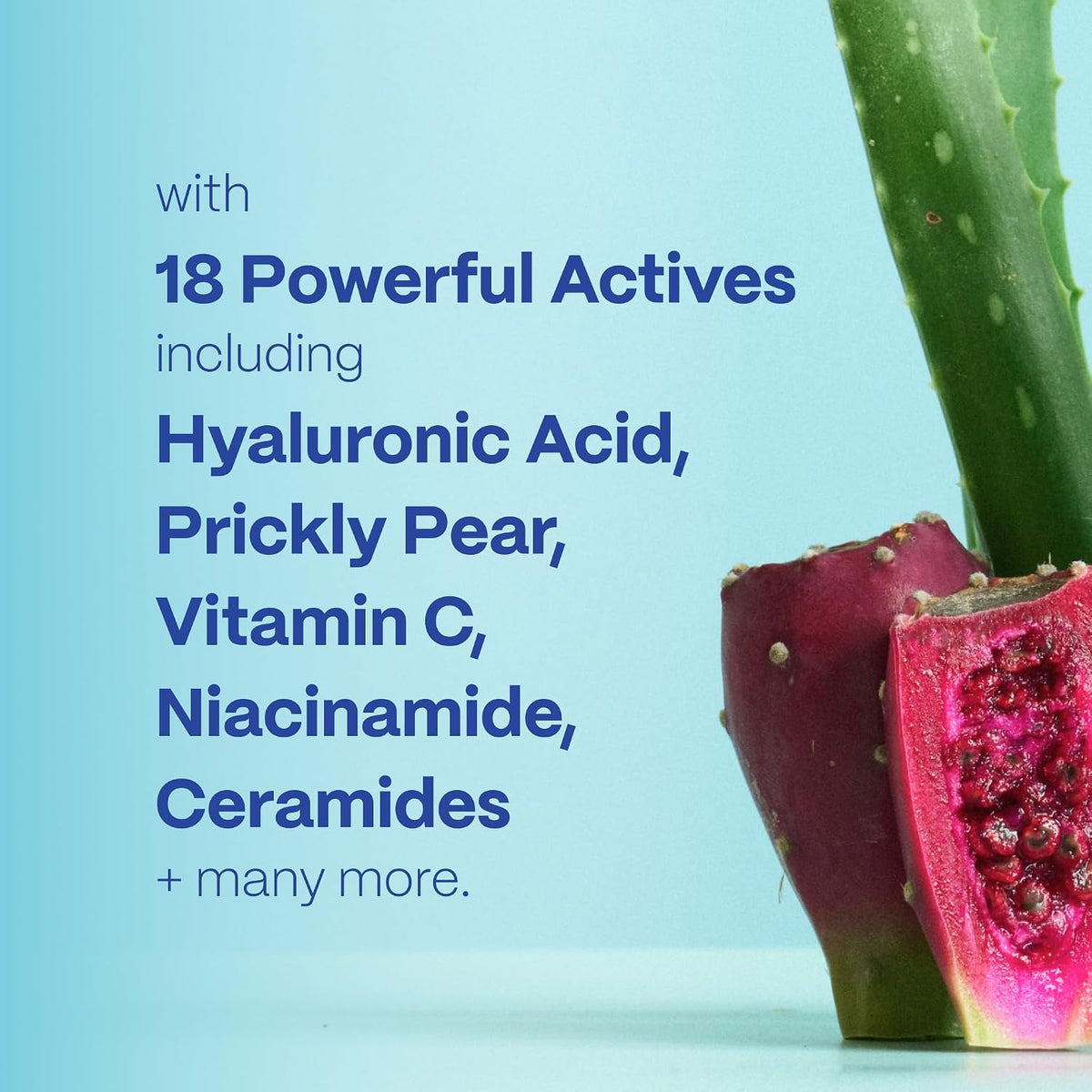 Mad Hippie vegan barrier cream ingredient focus