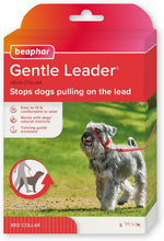 Beaphar Gentle Leader head collar being attached to a training lead