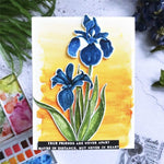 Handmade greeting card featuring stamped iris flowers