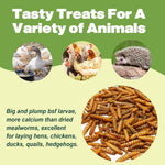 LIWII high calcium reptile and amphibian food dried insect treats