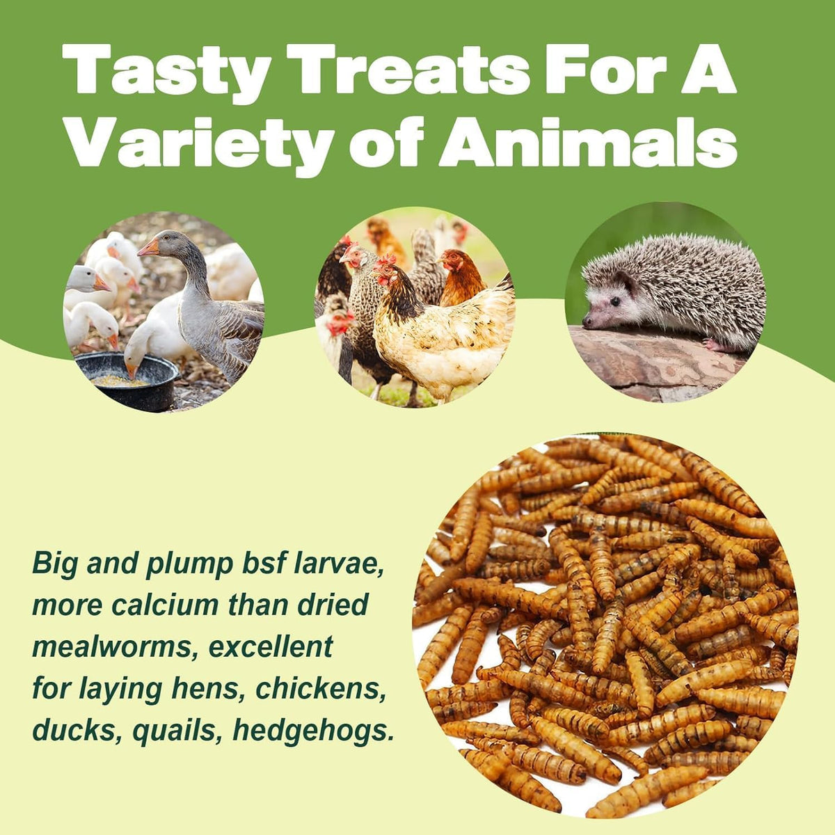 LIWII high calcium reptile and amphibian food dried insect treats