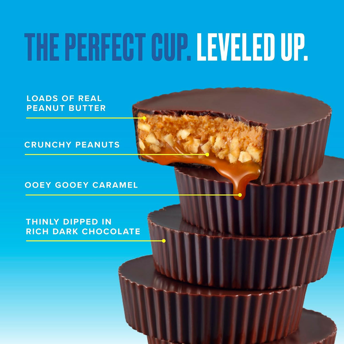 SkinnyDipped dark chocolate caramel peanut cups close up texture view.