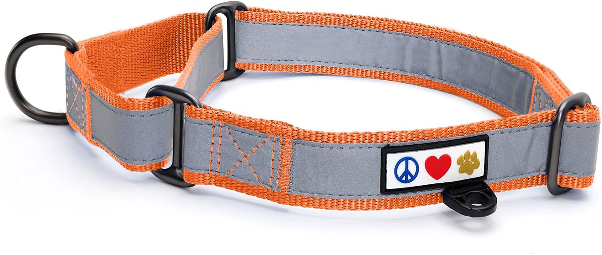 Pawtitas Personalized Dog Collar Martingale Dog Collar with Name Phone Number Reflective Martingale Dog Collar Customized Collar for Medium Dogs | Pink Custom Dog Collars for Medium Dogs - Image 10