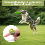 Generic animal training ring clicker emphasizing the nineteen millimeter and twenty-one millimeter sizing options.