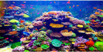 AWERT Undersea Theme Aquarium Background front view showing a colorful coral reef design.
