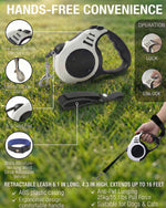 Luxelle night safety reflective cat walking harness set