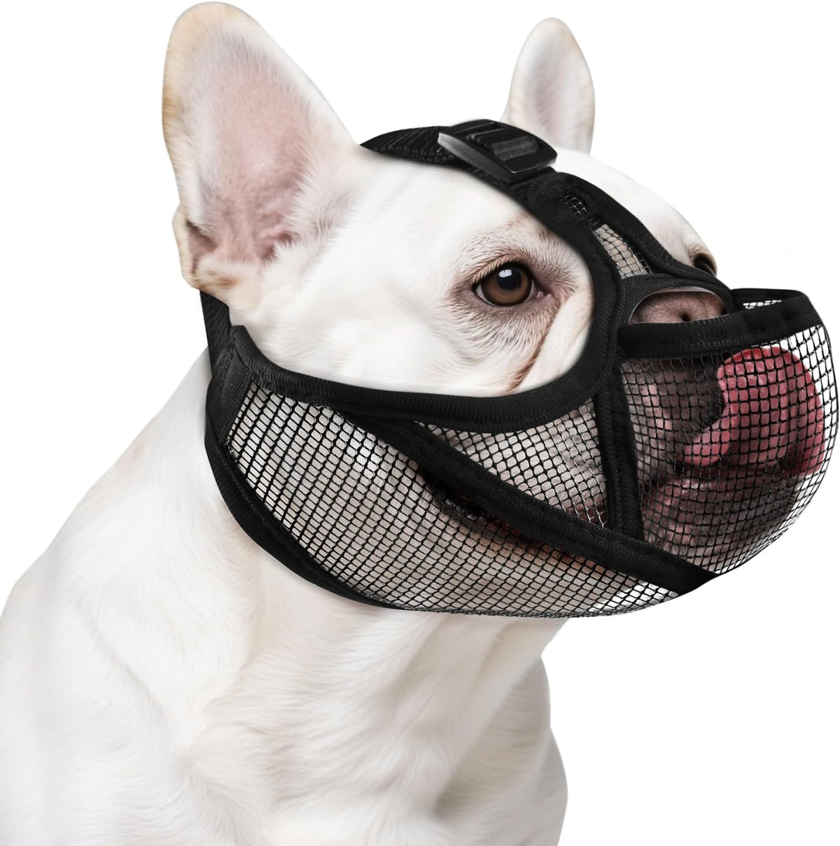Ohcozzy black soft mesh muzzle for French Bulldog front view