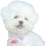 Kepudengen colorful fashion pet collar laid flat to demonstrate adjustable sizing chain range