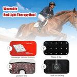 Lanoune equine recovery wrap secured on a horse in a stable