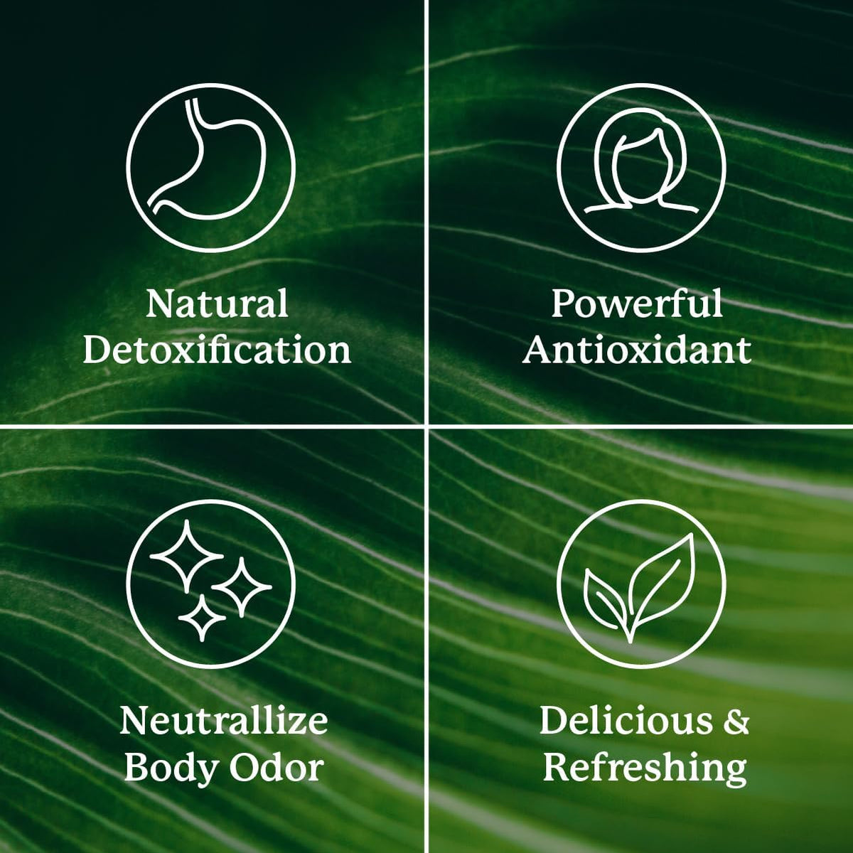 Nature's Sunshine Chlorophyll travel ready stick packs lifestyle shot