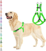 PUPTECK dog harness front view showing lime green step-in design