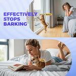 Small dog wearing PcEoTllar bark collar comfortably