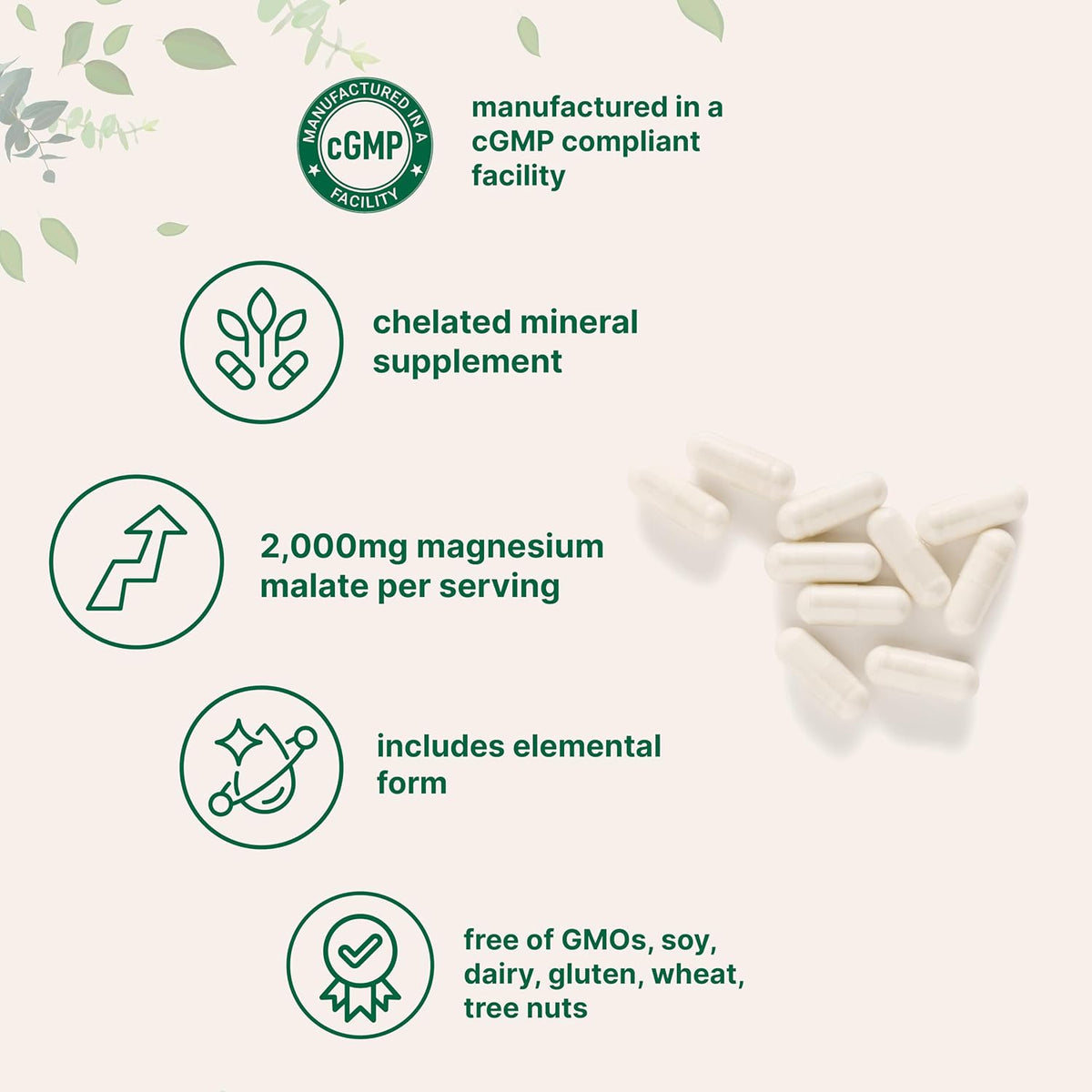 Micro Ingredients Magnesium Malate nutritional facts supplement panel