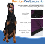 Harbyel no shake ear wrap preventing head movement for pet hematoma recovery.