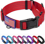 Dog wearing red martingale training collar outdoors