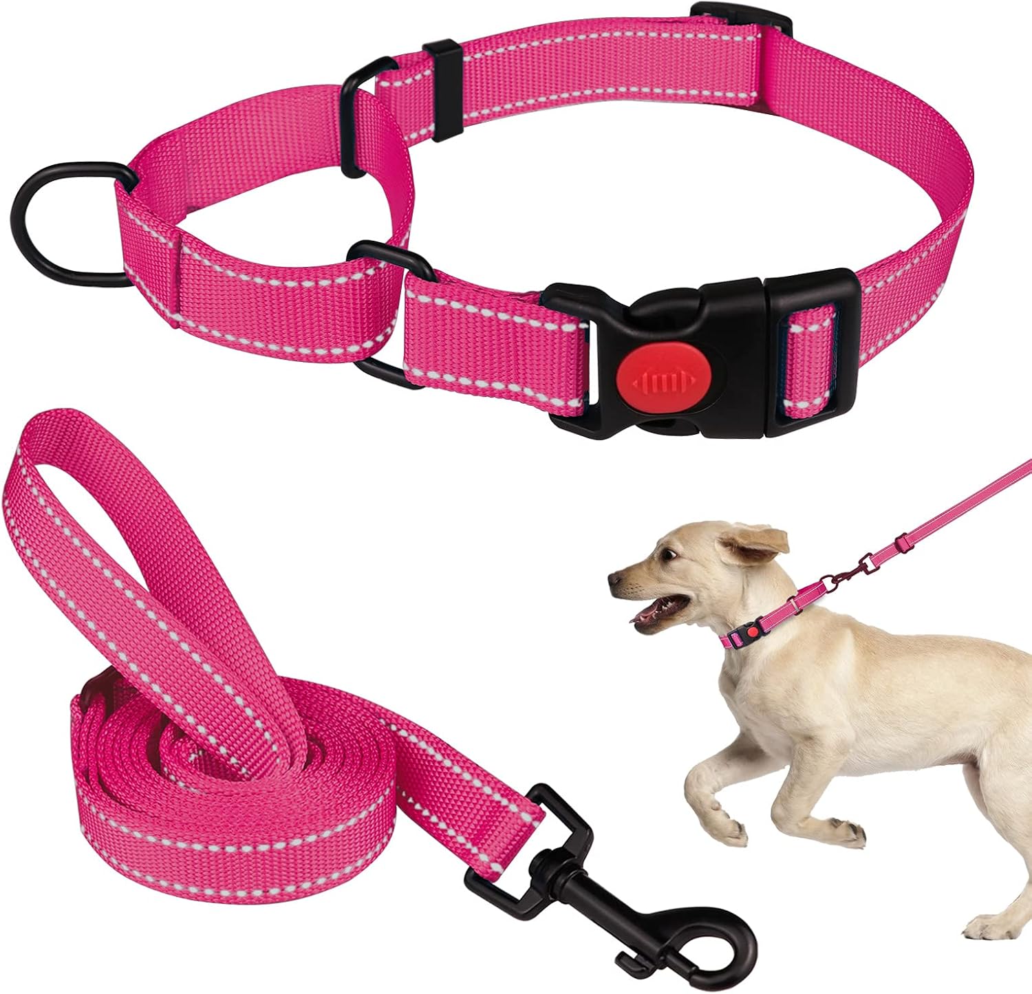 Mtliepte martingale dog collar and leash set front view hot pink small