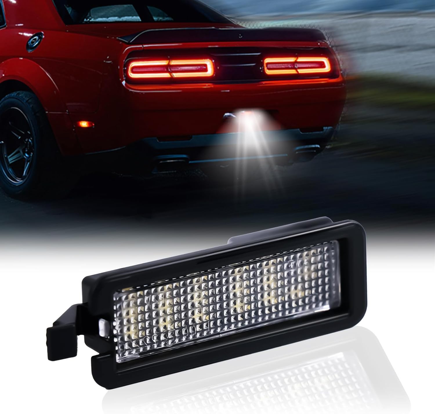 Dermoka LED license plate light assembly front view