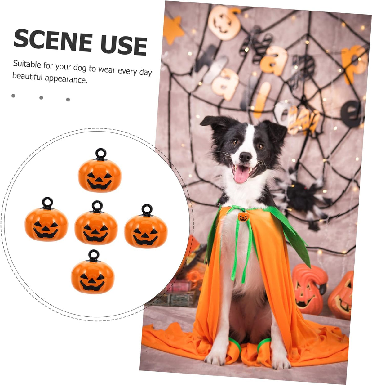 Balacoo festive pet accessories full set
