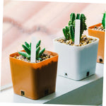 Waterproof plant identification labels used in a greenhouse setting