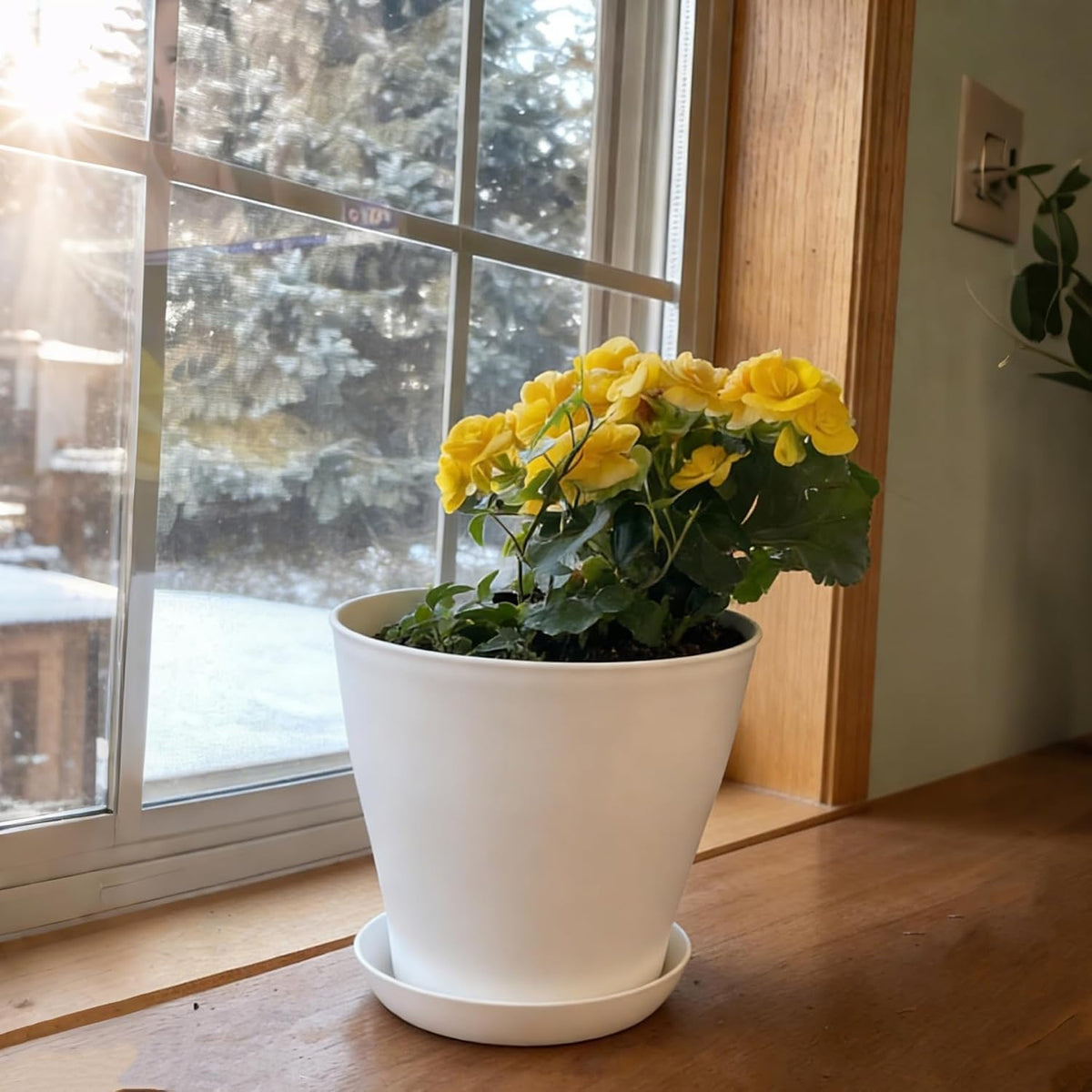 Small indoor succulent plant containers