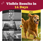 BuddyCheer glucosamine chondroitin msm formula label verified close up
