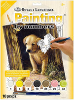 Royal And Langnickel Labrador Puppy paint by number kit front view