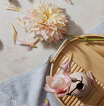 Thymes Kimono Rose Body Lotion size comparison against standard decor