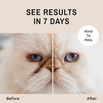 Eye Envy natural tear stain treatment powder jar lid