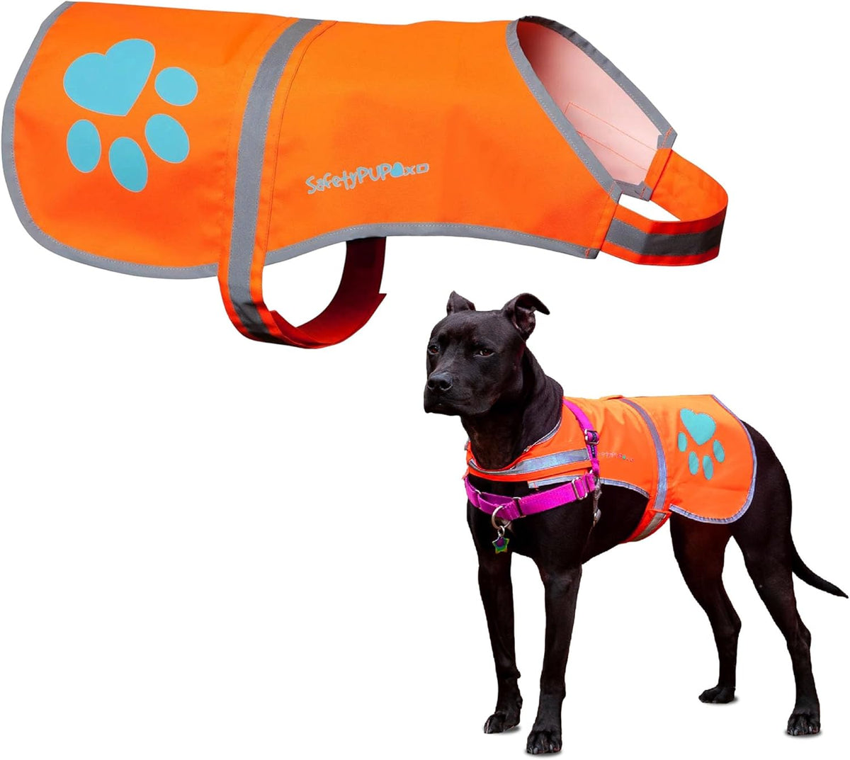 SafetyPUP XD reflective vest showing harness compatibility