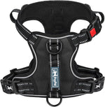 PoyPet dog harness front view in black medium