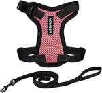 Secure outdoor pet walking harness for small and large cats