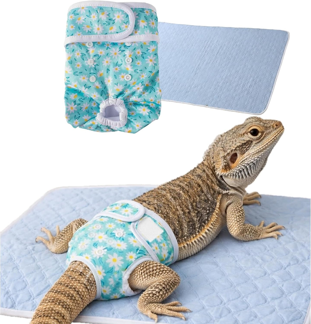 Homedy Crafts bearded dragon diaper and pad set front view showcasing the teal daisy pattern harness for pet hygiene.