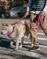 FunTags hotpink escape proof dog collar close up on lockable buckle