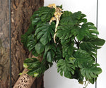 Woledoe artificial plant leaves in reptile habitat