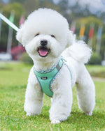 Petank dog harness side profile displaying reflective safety strips