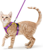 rabbitgoo Escape Proof Cat Harness and Leash Set, Xs, Black | 4-point Adjustable, Quick-snap Buckles, All-weather Mesh, Secure Leash Clip, Reflective Strips, for Small & Average Cats - Image 10