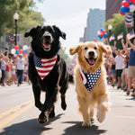 Adjustable American flag dog bandana folded for size