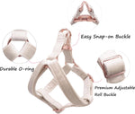 Adjustable straps on small Aring Pet dog harness