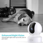 Smart pet camera motion tracking alarm notification on smartphone screen