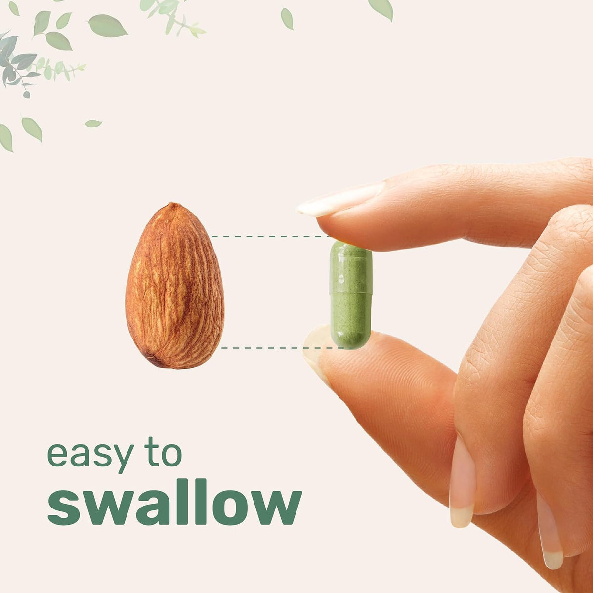 Micro Ingredients Moringa Oleifera bottle size scale view