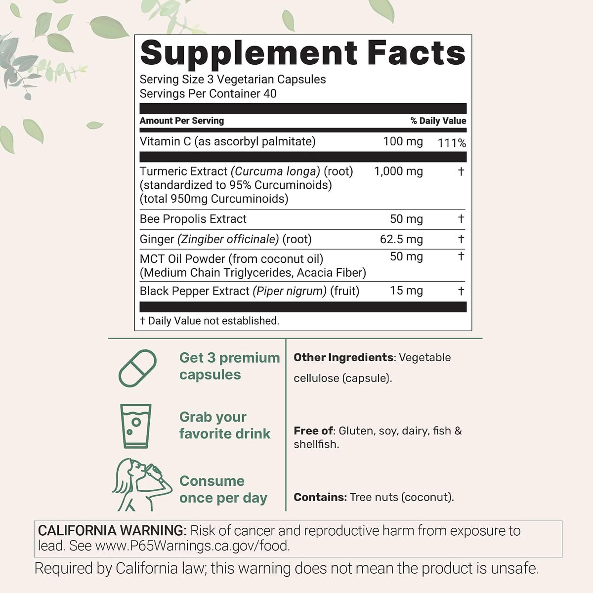 Micro Ingredients turmeric curcumin 1000mg capsule bottle back label