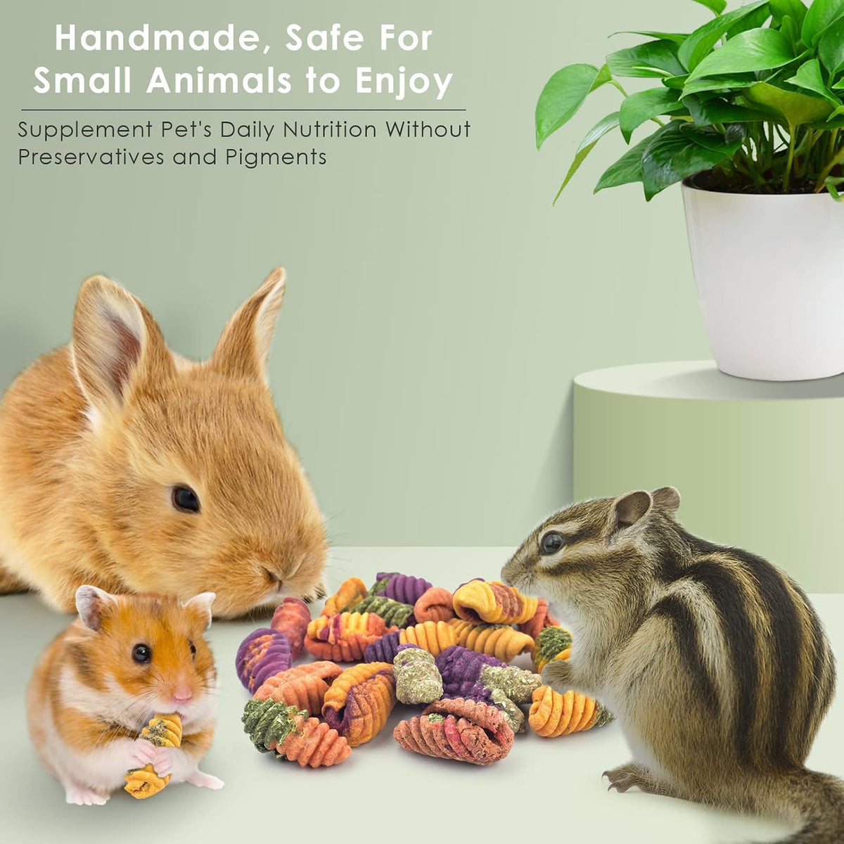 Colorful dental grinding treats for rabbits and guinea pigs to prevent tooth overgrowth.