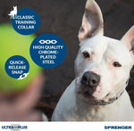 Herm Sprenger alloy steel dog pinch collar showing the secure scissor snap quick release mechanism