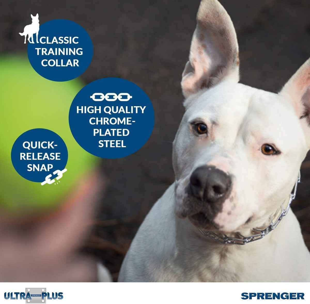 Herm Sprenger alloy steel dog pinch collar showing the secure scissor snap quick release mechanism