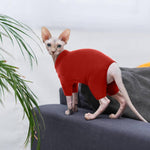 Elastic collar detail on Rozkitch cat clothing