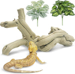 Reptile Branches for Climbing Natural Snake Climb Branch Extra Large Wood Forest Tree Trunk Decor Lizard Habitat Terrarium Decorations for Bearded Dragon Geckos Chameleon Frog - Image 10