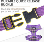 PUPTECK no choke dog harness with leash set
