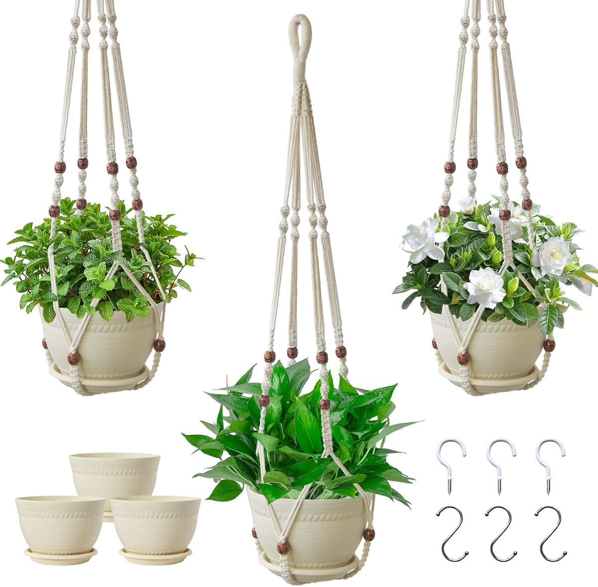 Checrxy macrame plant hanger front view showing ivory cotton rope and pot